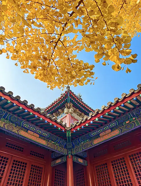 mmexport1731407602604.webp mmexport1731407602604.webp