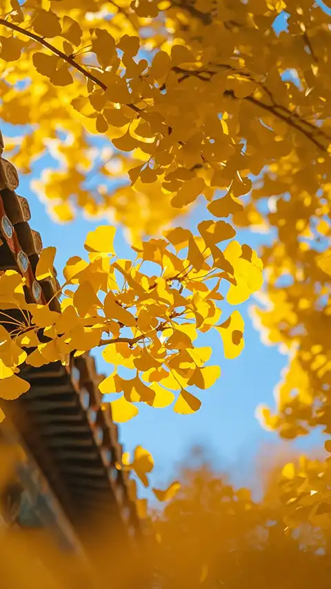 2024年江西九江无量寿寺冬季佛七净坛开示