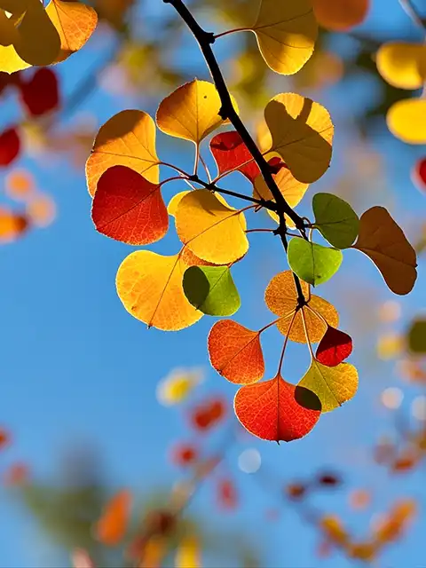 2024冬季佛七开示（十）（观经）