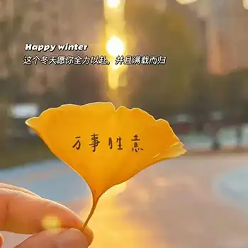 2024冬季佛七开示（二十一）（观经）