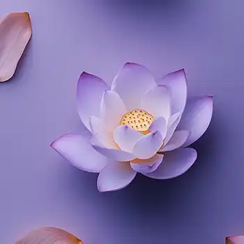 2024冬季佛七开示（二十三）（观经）