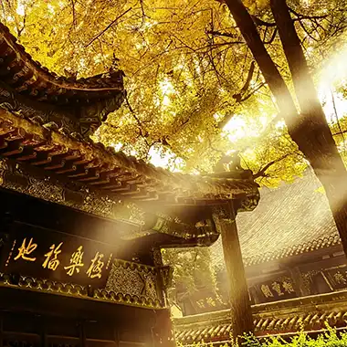 法会通启 | 广东省陆丰市碣石镇学佛苑《精进佛七》极乐法会