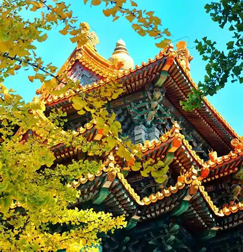 24年陆丰学佛苑冬季佛七（五）