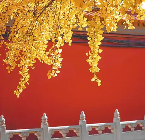 24年陆丰学佛苑冬季佛七（七）